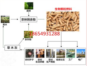 徐州鼓式削片机 大中小型免黄油木屑颗粒生产的核心动力